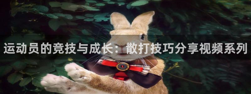 球进体育APP下载安装：运动员的竞技与成长：散打技巧分享视频系列