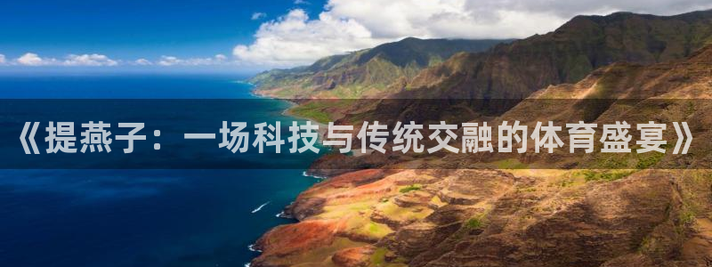 球进体育：《提燕子：一场科技与传统交融的体育盛宴》