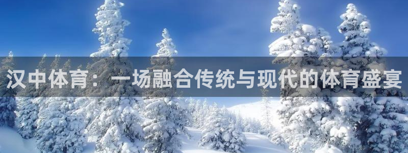 球进体育官方网站入口：汉中体育：一场融合传统与现代的体育盛宴