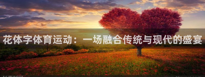 球进体育：花体字体育运动：一场融合传统与现代的盛宴