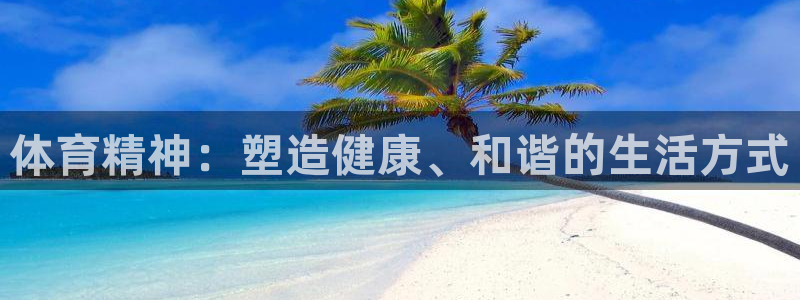 球进体育APP下载安装：体育精神：塑造健康、和谐的生活方式