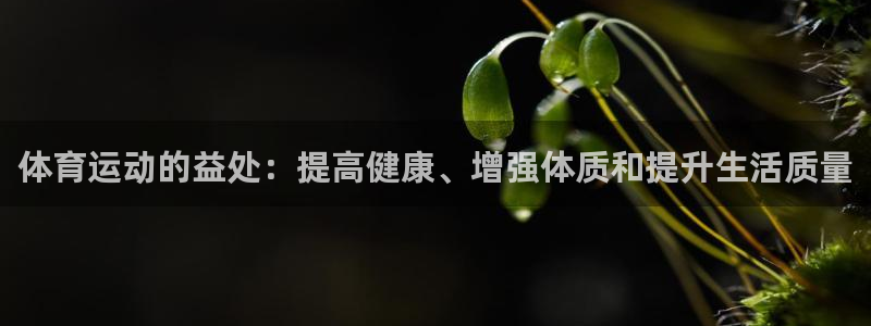 球进体育APP下载安装：体育运动的益处：提高健康、增强体质和提升生活质量