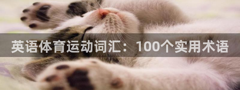 球进体育：英语体育运动词汇：100个实用术语